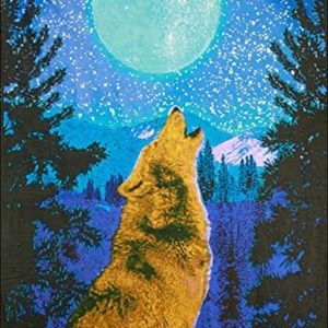 Cute Wolf Glow in the dark Tapestry Night Sky